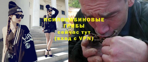 прущие крисы Дмитров