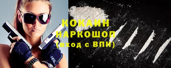 гидра Дмитриев
