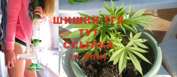 гидра Дмитриев