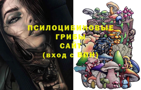 прущие крисы Дмитров