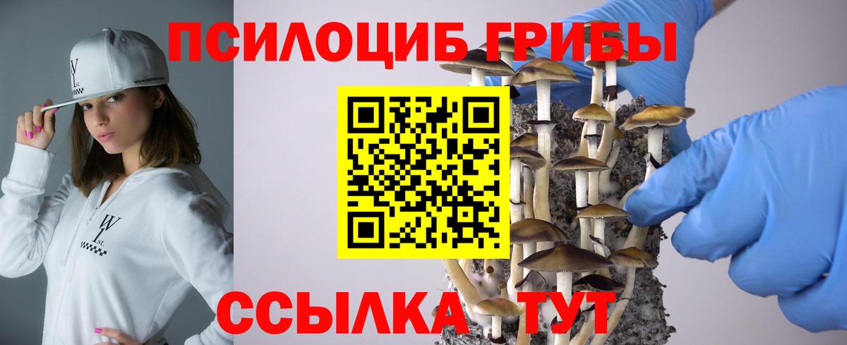 Галлюциногенные грибы Psilocybine cubensis  Вход с VPN  наркота  Новокубанск 